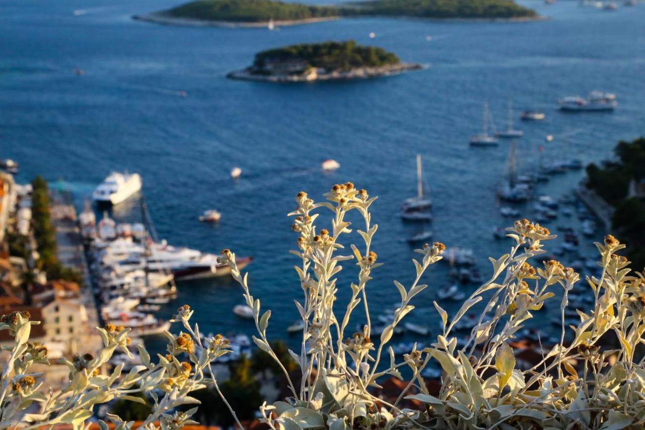 חוואר Feelhvar Along Bluelagoon Beach מראה חיצוני תמונה